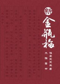 新金瓶梅电视剧 - 百度