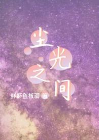 尘埃之光什么意思