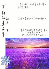 薰衣草的等待exo