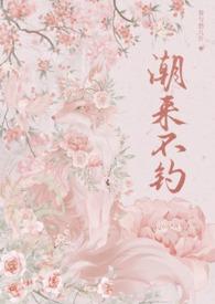 潮来又潮往