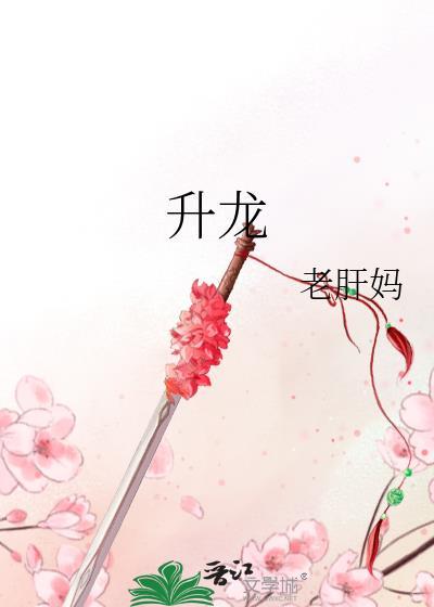 升龙道全文阅读