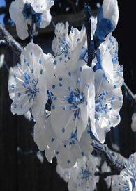 春秋航空2月新增多条航线