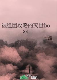 被组团攻略的灭世boss TXT