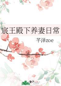 我的宸王殿下