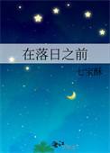在落日之前TXT百度