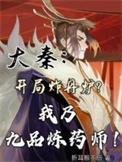 大秦神级炼丹师飞卢