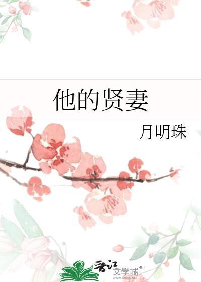 他的贤妻TXT百度