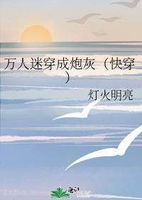 万人迷穿成炮灰(快穿)排雷