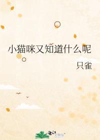 小猫咪又知道什么呢只雀