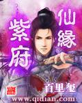 紫府仙缘讲的是什么故事