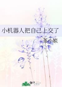 小机器人后来怎么样了