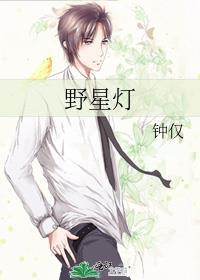 野星灯有声书