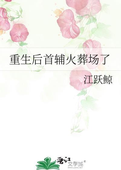 重生后首辅火葬场了晋江
