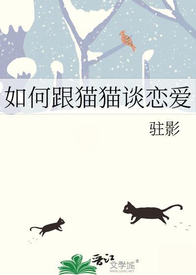 如何跟猫咪相处
