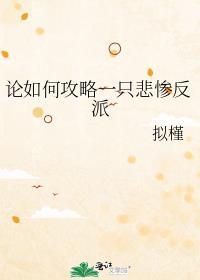 论攻略指南的错误用法全文阅读