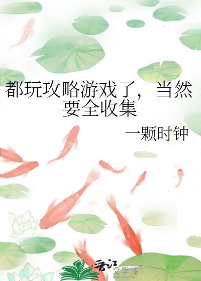 全程攻略游戏