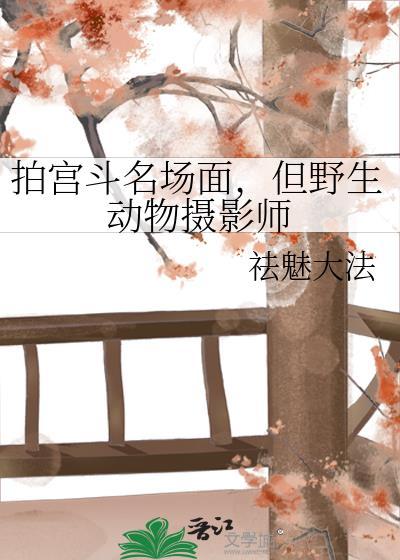 拍摄野生动物的摄影师