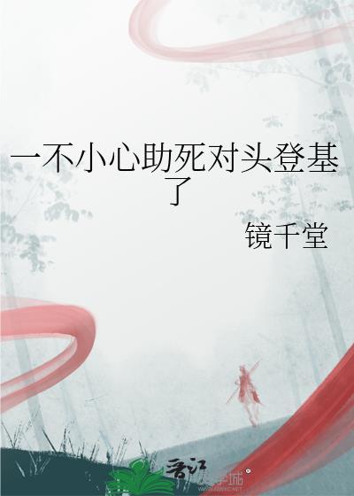 一不小心救了江湖公敌哔哩哔哩