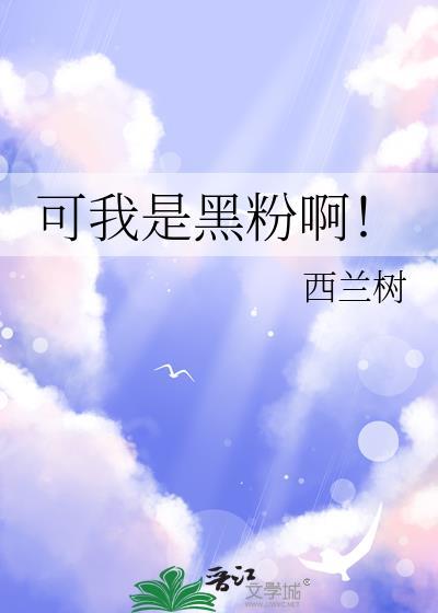 可我是黑粉啊!作者西兰树
