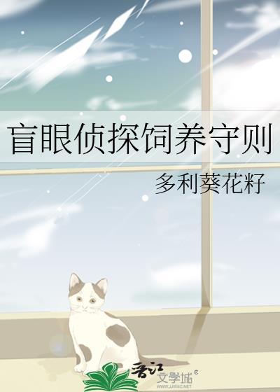 盲探说的是什么