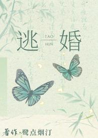 逃婚后去往何处by鹭点烟汀TXT百度