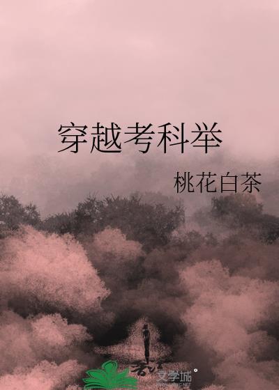 穿越考科举作者ai呀呀