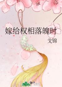 嫁给首辅落魄时免费阅读