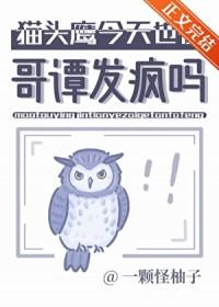 哥谭猫头鹰法庭是什么