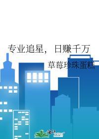 专业追星日赚千万