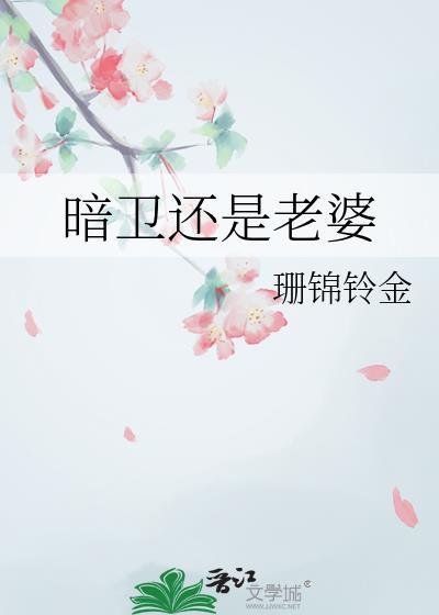 暗卫系列人物关系