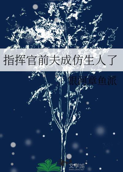 指挥官番外