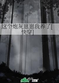 这个炮灰我罩了免费阅读全文