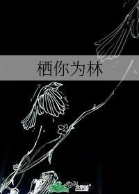 栖你为林gl