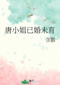 唐小姐已婚未育TXT百度免费阅读