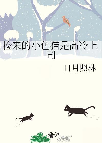 捡来的猫男免费