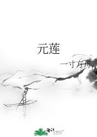 元莲的功效与作用