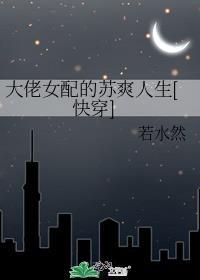 新婚肆爱木木森林免费阅读