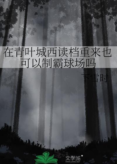 在青叶城西读档重来也可以制霸球场吗下雪时