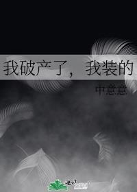 我破产了我装的番外免费阅读