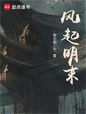 风起明末起点中文网