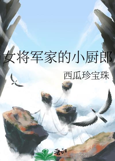 电视剧将军家的小女人
