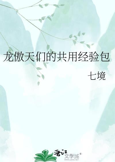 龙傲天们的共用经验包by