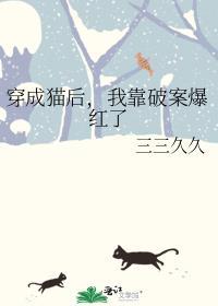 穿成猫后我靠破案爆红了宝来