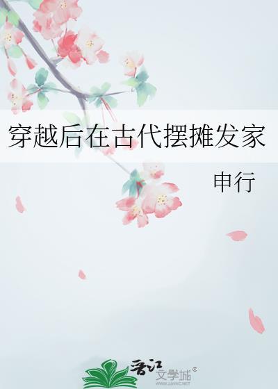 穿越后在古代摆摊发家by申行免费阅读