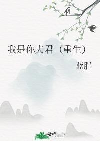 我是你夫君重生