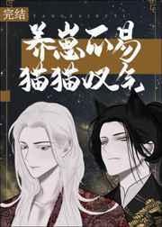 养崽不易猫猫叹气甜梦文库