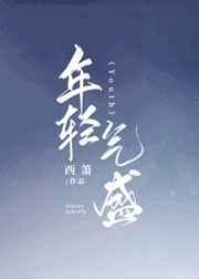 年轻气盛的盛意思是什么