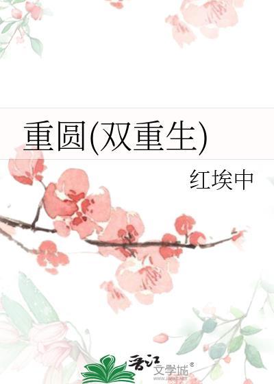 重圆(双重生)晋江