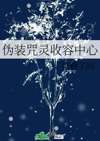 伪装咒灵收容中心百度
