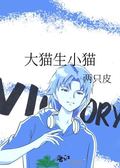 大猫生小猫怎么接生